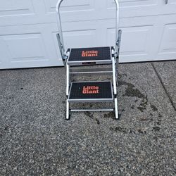 Little Giant 2-Step Ladder