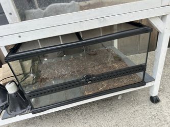 3 reptile tanks and a bunch of lamps and accessories