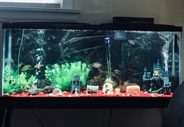 Fish tank