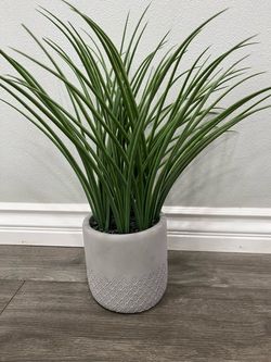 Artificial Plant