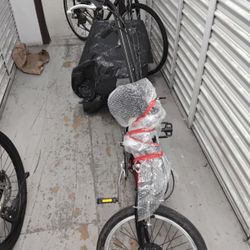 Electric Bike