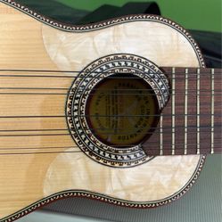 10 String Mandolin w/soft case