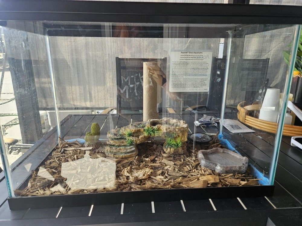 Reptile/ Fish Tank