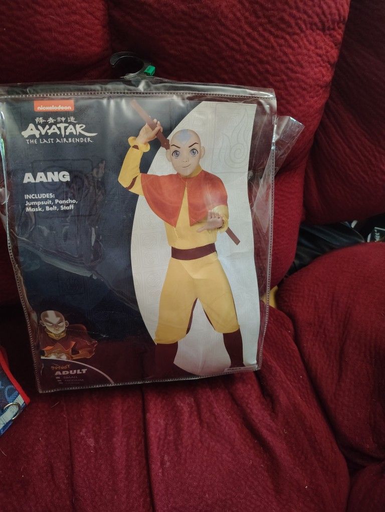 Spirit Halloween Adult Aang Costume Large