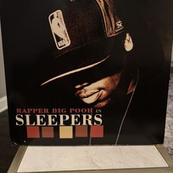  🔥 original 2005 pressing of Rapper Big Pooh – Sleepers on vinyl 
