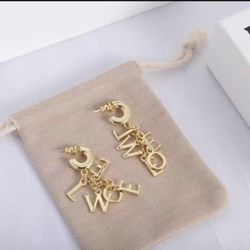 Loewe earrings
