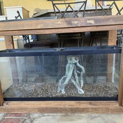 Aquarium With Stand