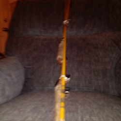 Wright And McGill Vintage 6 Half Foot Fishing Pole.