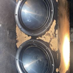 Speaker 16s