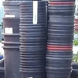 1 Gallon Nursery Plant Pots (.50 each)