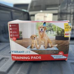 ❗️DOG TRAINING PADS❗️