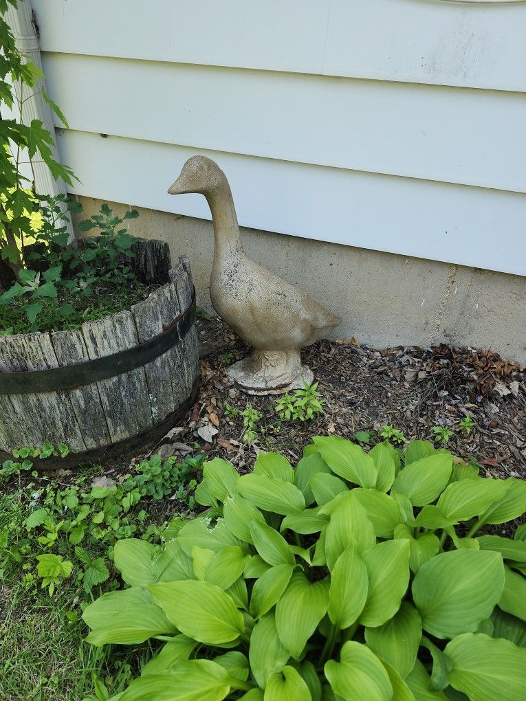 Concrete Goose