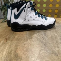 Nike Dennis Rodman Men's Nike Air Darwin