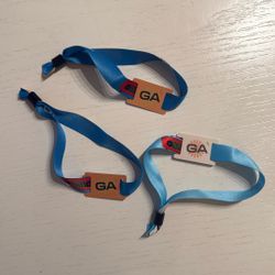 Wonderfront Wristbands: 2 Friday, 1 Saturday 