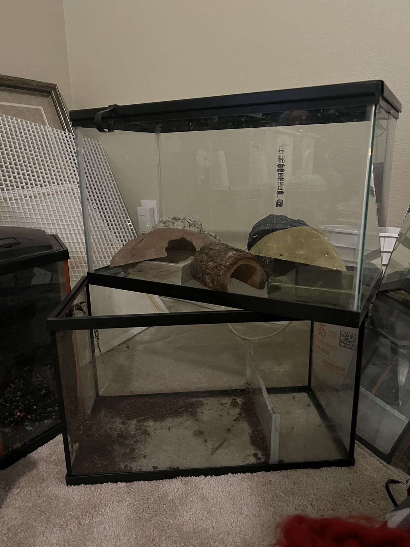 Tanks And Reptile Supplies 