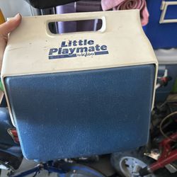 Mini Lunch Cooler
