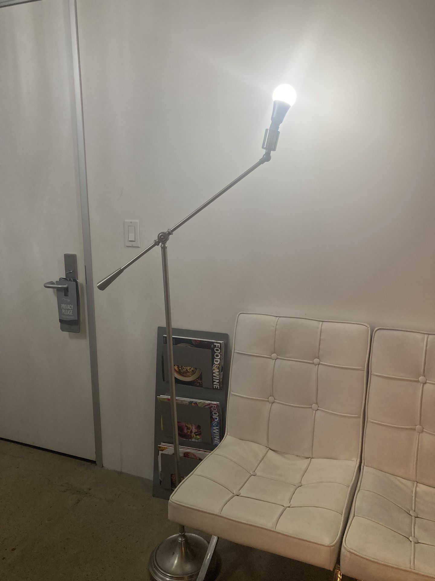Modern Stainless Steel Floor/Desk Lamp