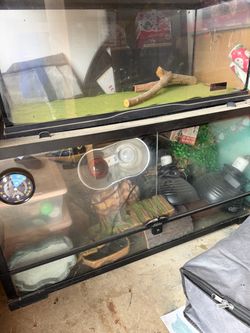 Reptile tank