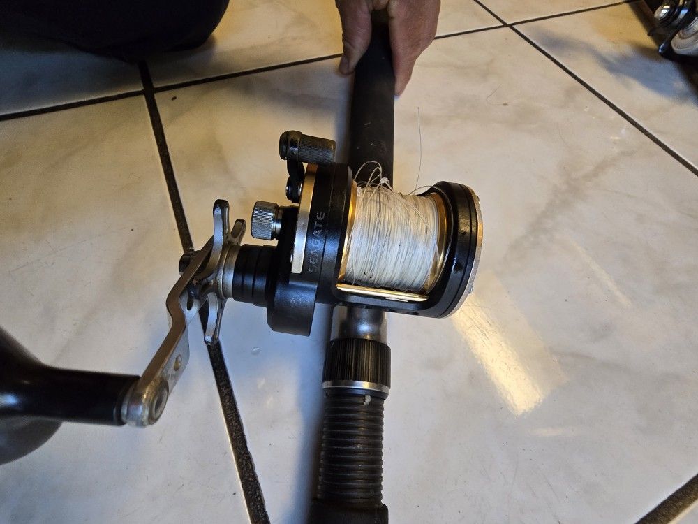 Fishing Reel And Pool