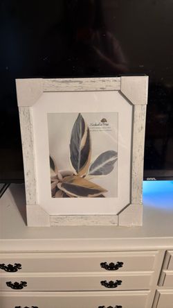 Scholar Tree White Distressed Picture Frames-Set of 4