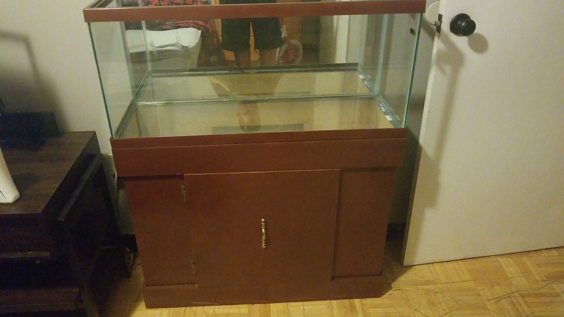 40 gallon fish tank and stand
