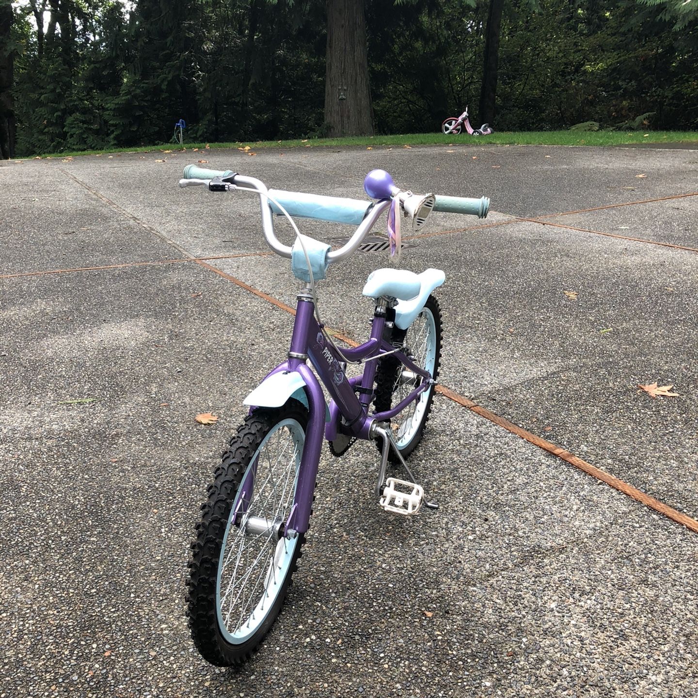Girl’s 20” Bike