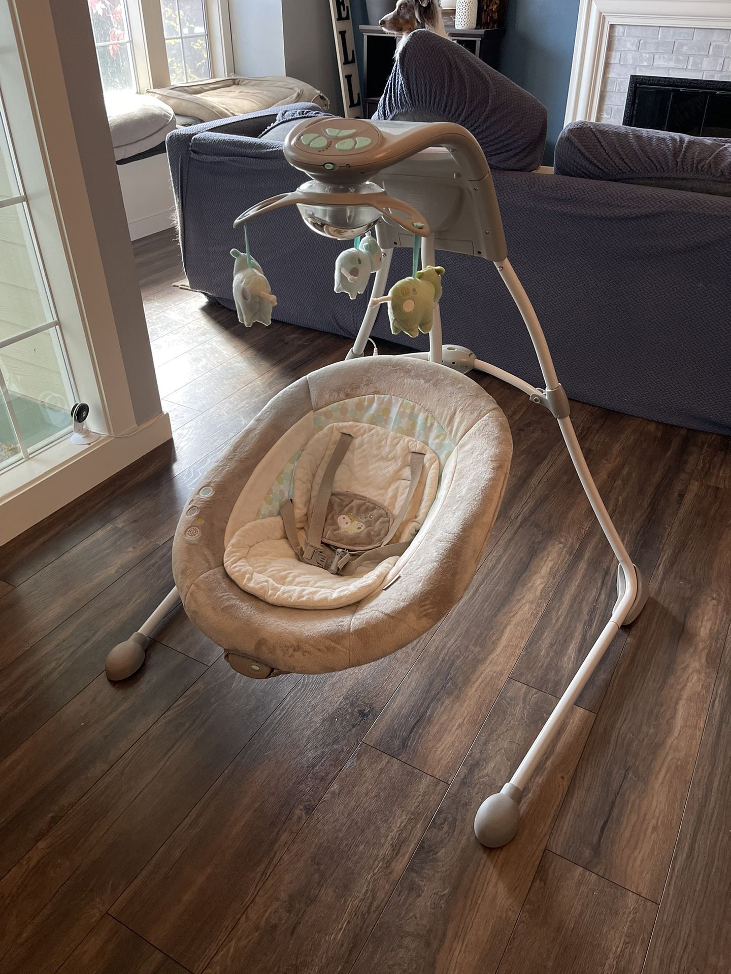 Baby Swing And Bouncer