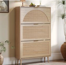 Shoe Cabinet with Flip Doors