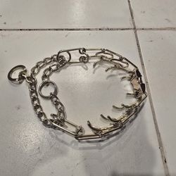 Gold Colored Dog Collar Large