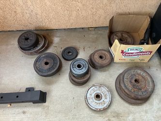 259 lb Weights