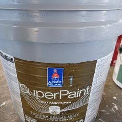 5 Gallons Exterior Satin Light Gray Paint 