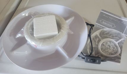 Electric chip and dip tray