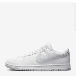 New Nike Low Retro Dunks! Size 10