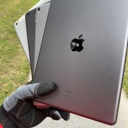 iPads 5 / 6 / 8 / Pro