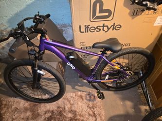 Qlife racer Ebike