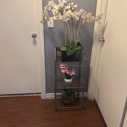 Nice Table With 3 Base Plants 