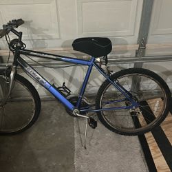 Adult Bicycle 
