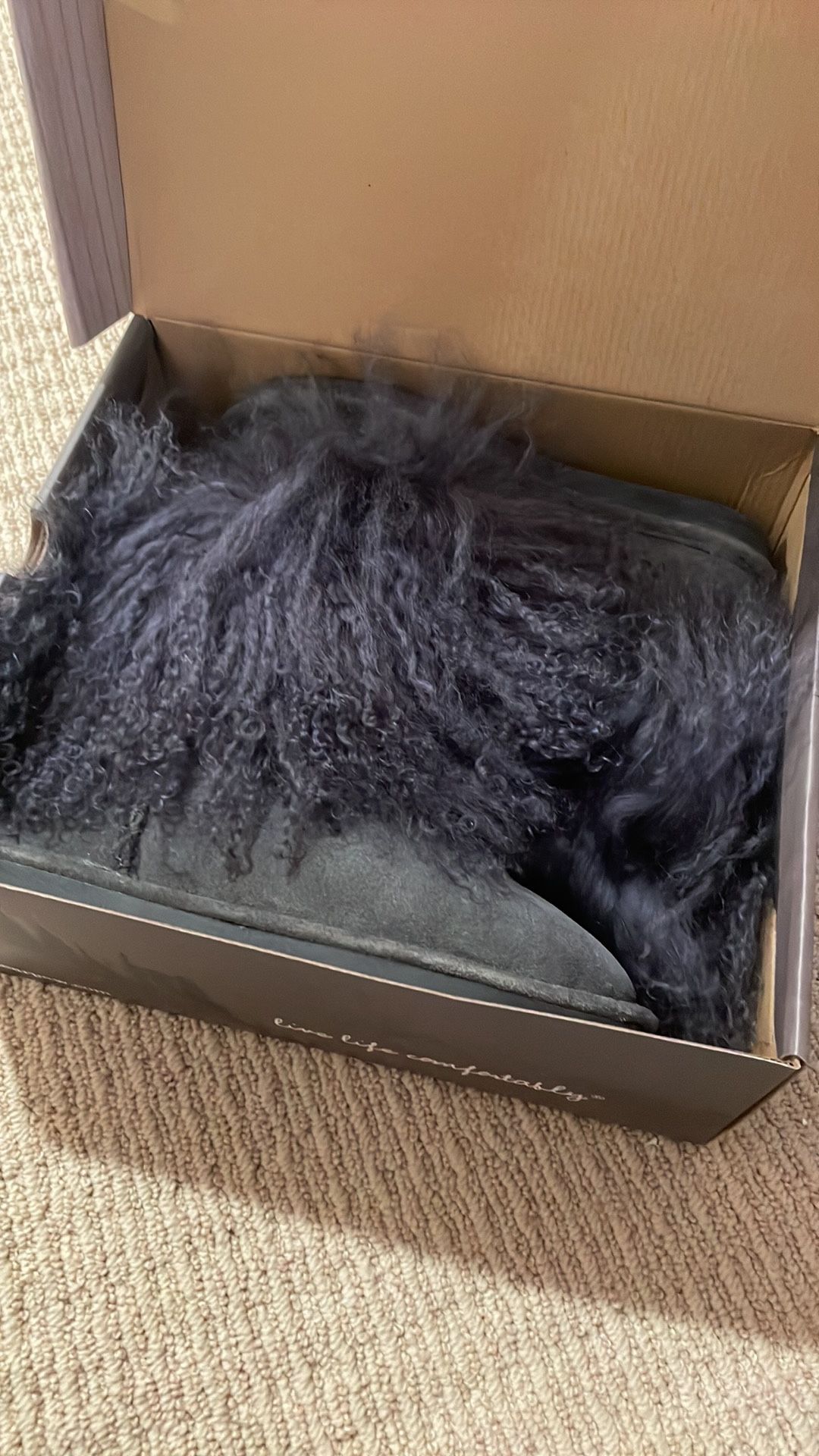 BearPaw Boots