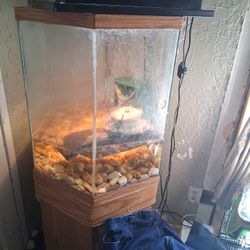 40 Gallon Hexagon  Fish Tank