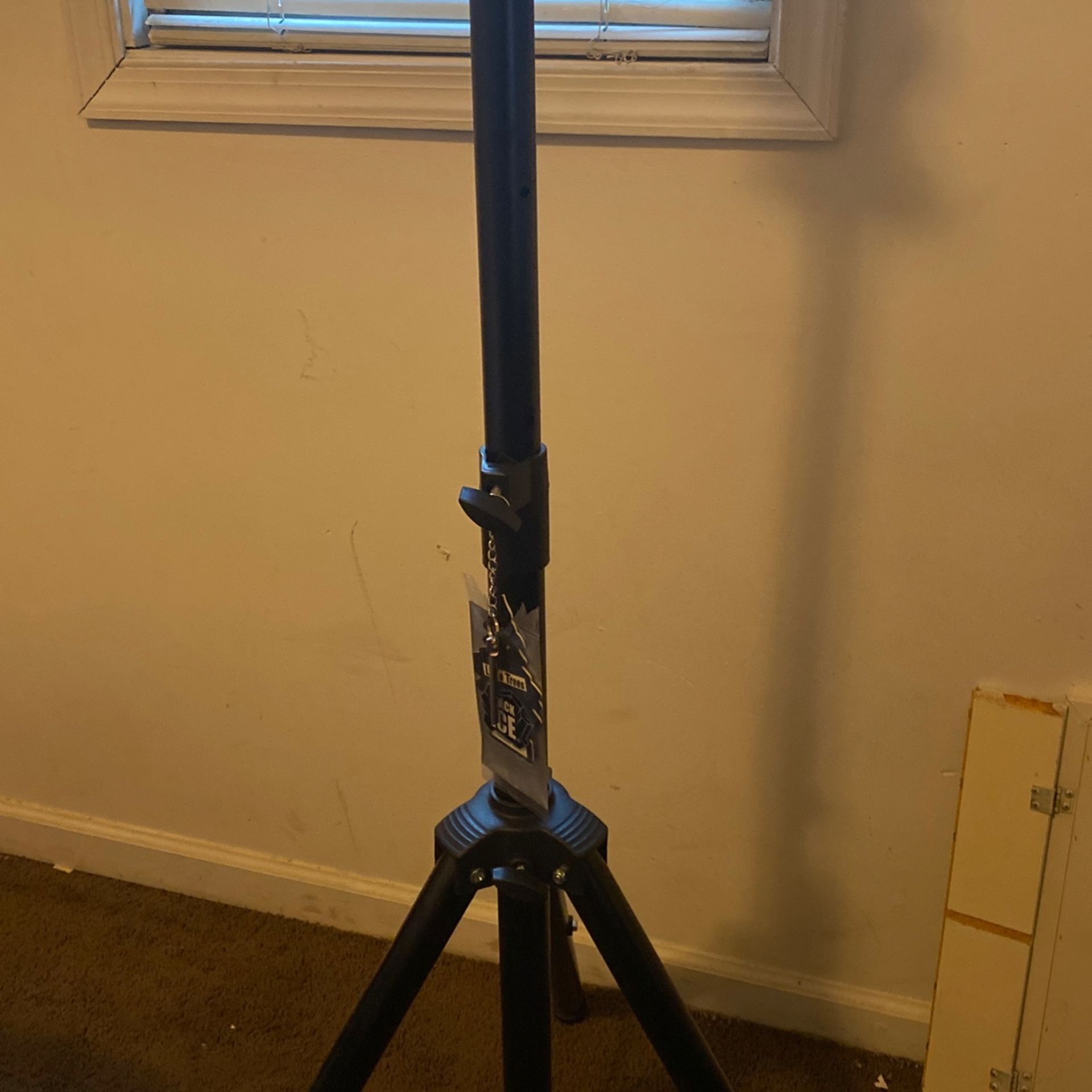 Another Speaker With Stand Also