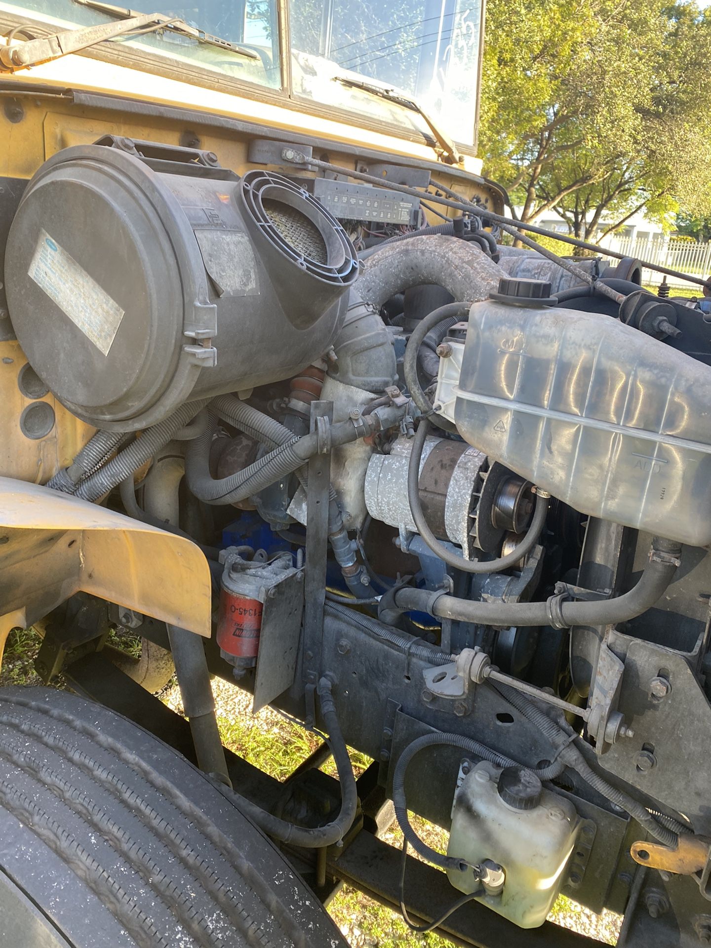 03 International School Bus