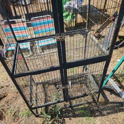 bird case 