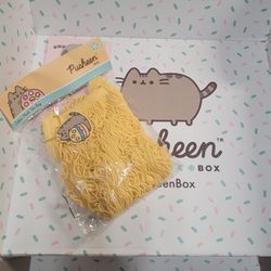 Pusheen Mesh Tote Bag