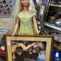 Monkeys Framed People Personalities Wall Art