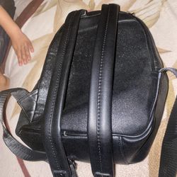Backpack/purse