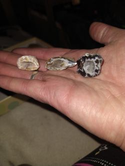 Occo Geodes