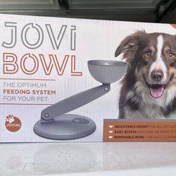 Dog Bowl