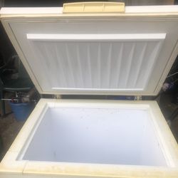 I don’t remember what kind