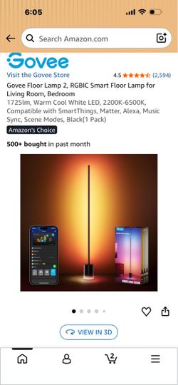 Govee floor lamp 2 new