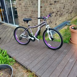 Genesis Bike 